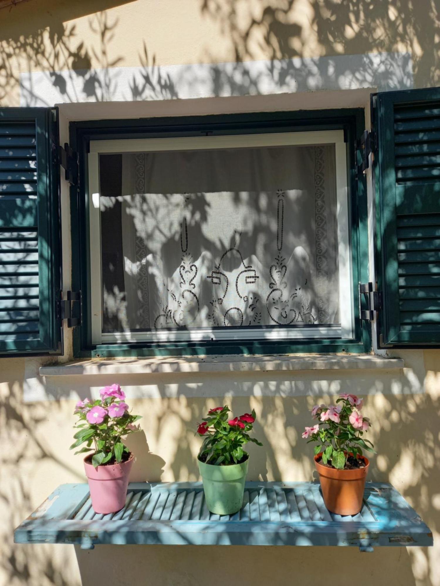 Casa Natasa Appartement Oziás Kamer foto